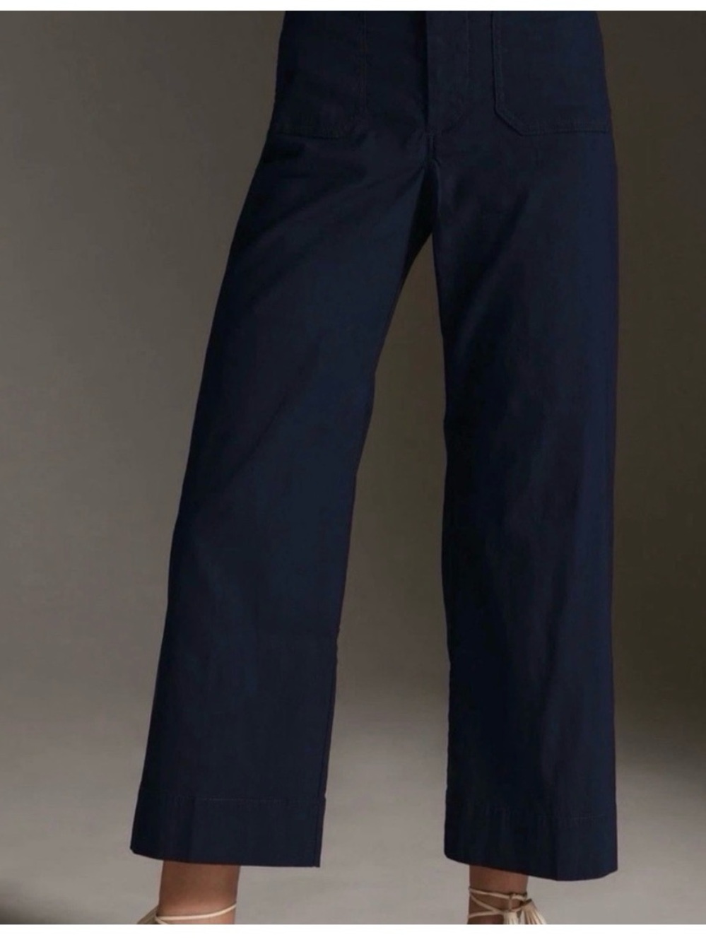 Anthropologie colette Navy Wide-Leg Crop Pants Full length